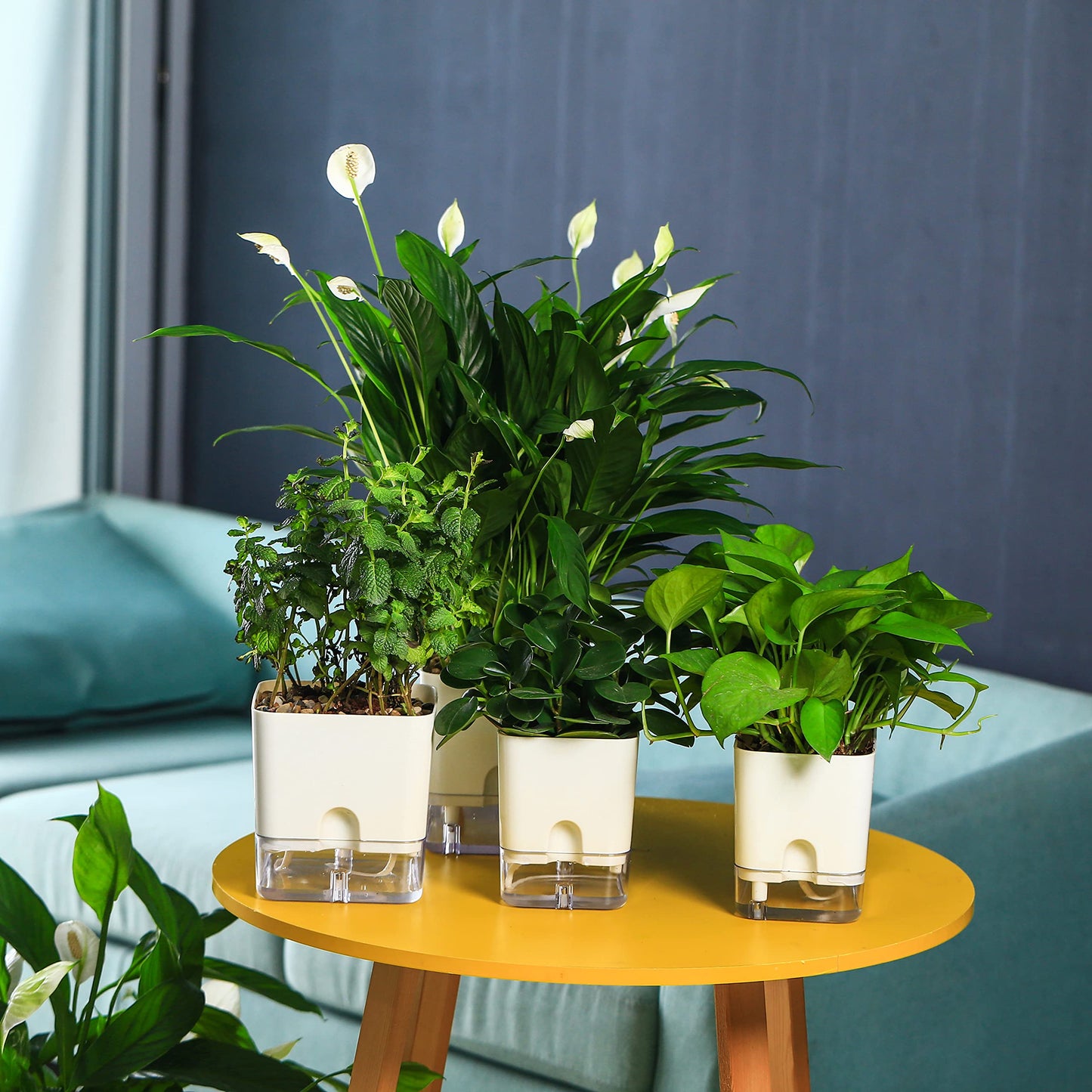 Planterhoma Self Watering Plant Pots for Indoor Plants 4.3 inch, 6 Packs Square Self-Watering Planters with Drainage Hole, White African Violet Pots for Devil's Ivy, Spider Plant, Orchid, Herb