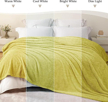 Exclusivo Mezcla Fleece Twin Size Bed Blanket, Ultra Soft, Lightweight and Fuzzy Light Green Blanket for Women, Home Decor, 60x80 Inches