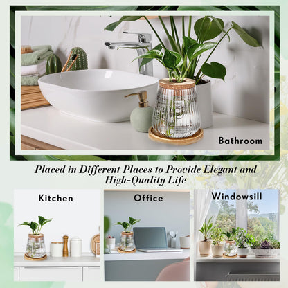 Baderke 12 Packs Propagation Vases for Plants Plastic Plant Propagation with Hole Lid and Bamboo Stand Growing in Water Hydroponic Home Office Desktop Vase Decoration
