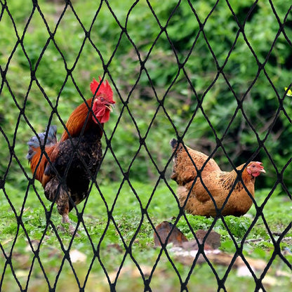 DQS Bird Net - 25' x 50' Garden Netting with 2.4" Square Mesh Protect Fruit Tree, Plant and Vegetables from Poultry, Deer and Pests, Heavy Duty Bird Netting for Garden, Farm, Orchard
