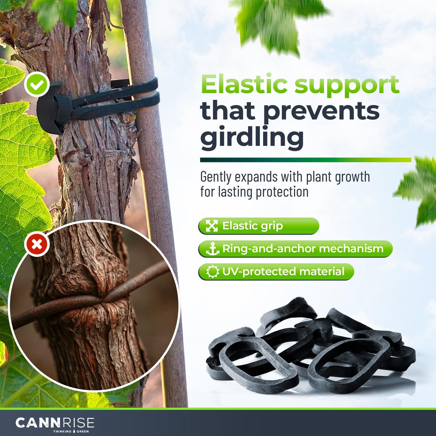 Anchor Bands for Trellising – 70-Pack 8 cm/3.14 in Rubber Vine Ties, UV-Protected Bands: Grapevines, Trees & Climbing Plants – Tool-Free Loop-and-Anchor Design for Install, Weatherproof