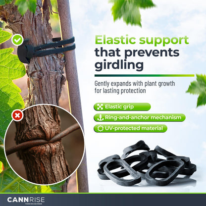 Anchor Bands for Trellising – 70-Pack 8 cm/3.14 in Rubber Vine Ties, UV-Protected Bands: Grapevines, Trees & Climbing Plants – Tool-Free Loop-and-Anchor Design for Install, Weatherproof
