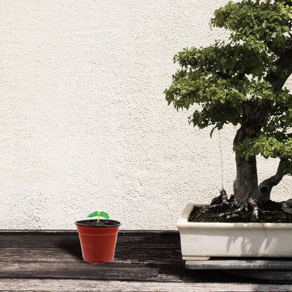 Happyyami 100pcs Strawberry Nursery Cups Plant Seedling Pots Plastic Germination Cups Garden Supply for Outdoor Growing Seedlings Plant Nutrient Pots