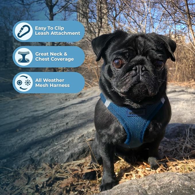 Best Pet Supplies Voyager Step-in Air All Weather Mesh Harness and Reflective Dog 5ft Leash Combo with Neoprene Handle, for Small, Medium and Large Breed Puppies - Blue, XX-Small