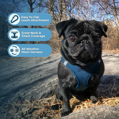 Best Pet Supplies Voyager Step-in Air All Weather Mesh Harness and Reflective Dog 5ft Leash Combo with Neoprene Handle, for Small, Medium and Large Breed Puppies - Blue, XX-Small
