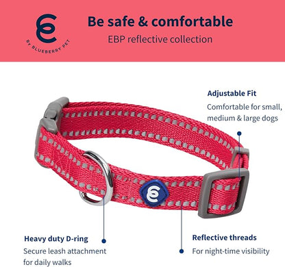 Blueberry Pet Essentials Matching Dog Collar & Leash Set | Pastel Reflective Adjustable Collar with 5 ft Lead for Medium Dogs, Very Berry