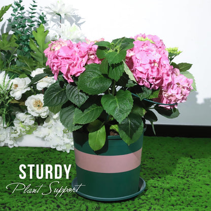 LEOBRO Plant Support, 8PCS Peony Cages and Supports, Plant Stakes for Indoor Plants, Outdoor Plants, Metal Garden Stakes, Plant Holders, Tomato Monstera Hydrangea Support Cage, 10" W x 15.8" H