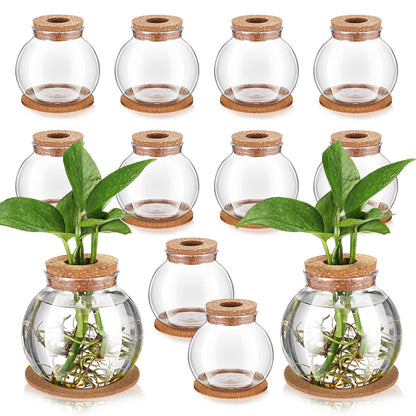 Baderke 12 Packs Propagation Vases for Plants Plastic Plant Propagation Station with Hole Lid and Cork Coasters Plant Growing in Water Hydroponic Home Office Table Decoration(Fish Bowl Style)