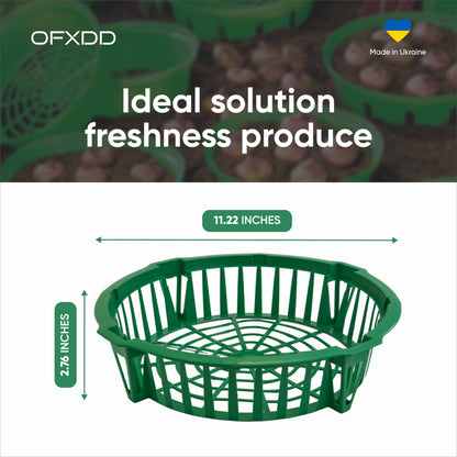 OFXDD Plant Trays - 6 Pcs Planting Basket for Onion - Plastic Trays for Flower Bulbs - Reusable Seedling Trays for Gardening, 11.22 Inch