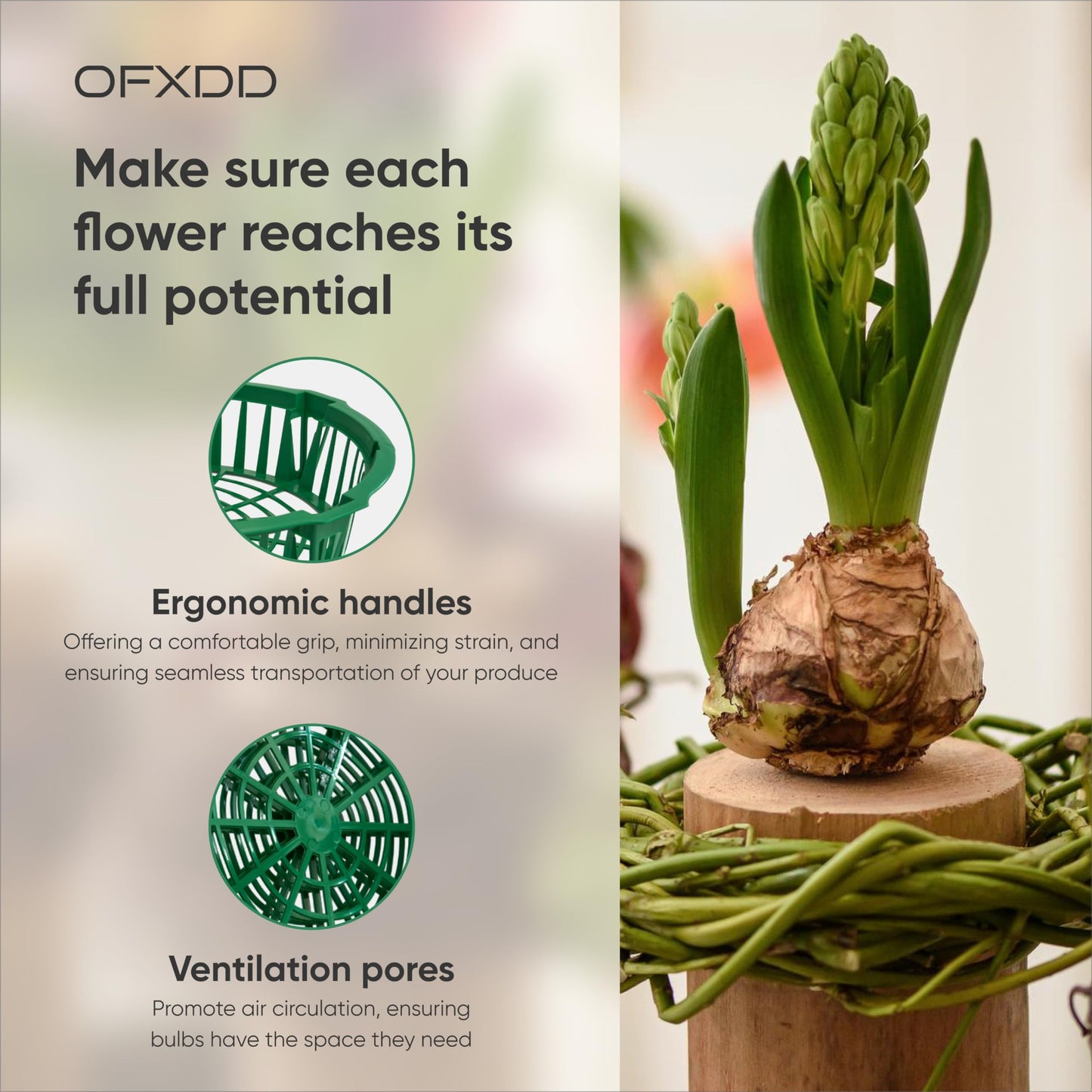 OFXDD Plant Trays - 6 Pcs Planting Basket for Onion - Plastic Trays for Flower Bulbs - Reusable Seedling Trays for Gardening, 11.22 Inch