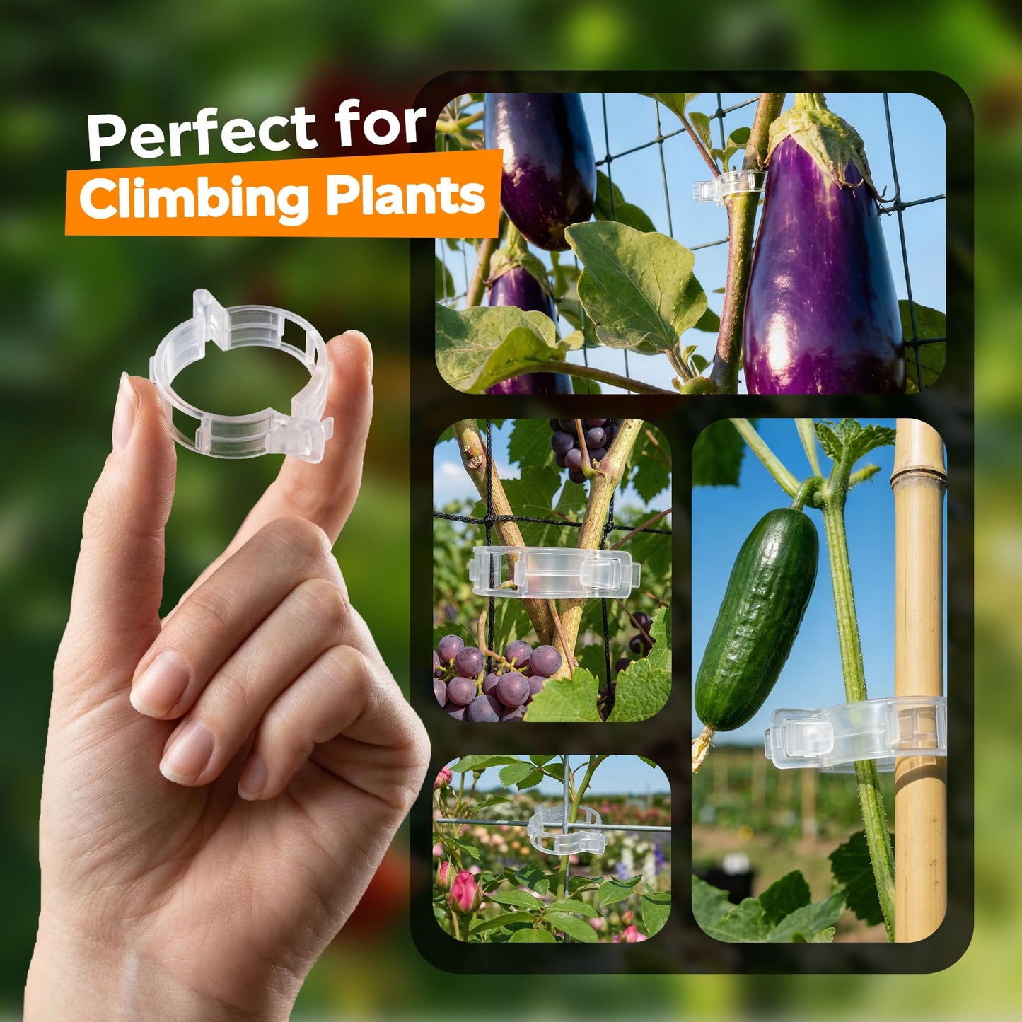 100pcs Tomato Clips for Climbing plants, Plastic Trellis Plant Support Clips for Garden, Reusable Clips for Supporting Grape Tomato Vine and Vegetables Plants to Grow Upright Makes Plants Healthier