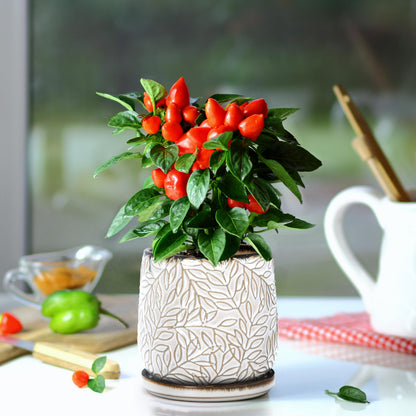 D'vine Dev 5 Inch Embossed Leaves Stoneware Planter Pot with Drainage Hole and Saucer, Smoked White, Set of 2, 27-F-V-1
