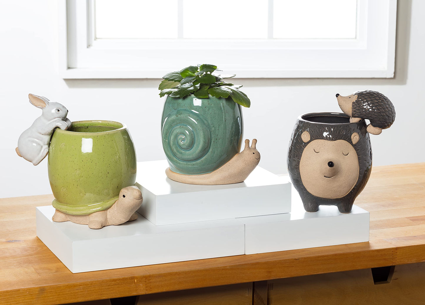 Abbott Collection Stoneware Turtle Planter - Tall (5" H)