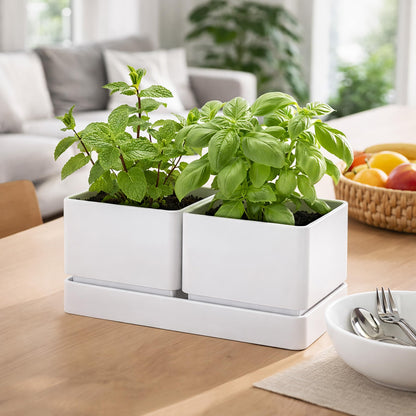 D'vine Dev Indoor Herb Garden Planter Set, Plastic Windowsill Plant Pots with Drainage and Saucer, Indoor Succulent Cactus Vegetable Pot for Balcony, Office, Garden, White, Set of 1, 76-Q-A-1