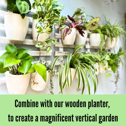 ShopLaLa Bundle - 2 Pack Wooden Wall Planter + 10 Pack, 4 Inch Self Watering Plastic Planters White Plant Holder, Modern Hydroponic Wall Pot Vertical System for Living Plant, Garden