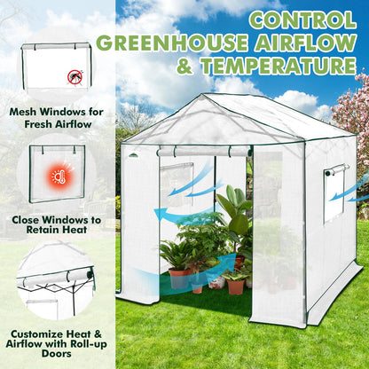 EAGLE PEAK 8x8 Portable Pop Up Greenhouse, Patented Center Lock Easy One Person Setup, Walk-in Outdoor Greenhouse with Gable Roof, Weight Bags, Zippered Doors & Windows, White