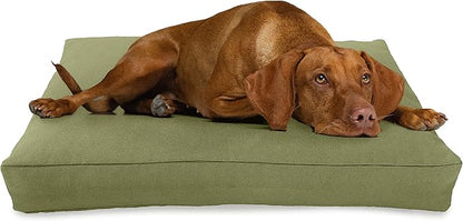 XX-Large - 54 x 36 x 6 - Cactus Premium Organic Hemp Dog Bed - CertiPUR Fill - Removeable Cover