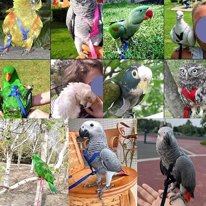2 pcs Pet Parrot Bird Harness and Leash, Adjustable Training Design Anti-Bite, Outdoor Flying Training Rope Kit for Bird Parrots Fits Birds Chest Between46-76cm /18.11-29.92inch - XL (Black)