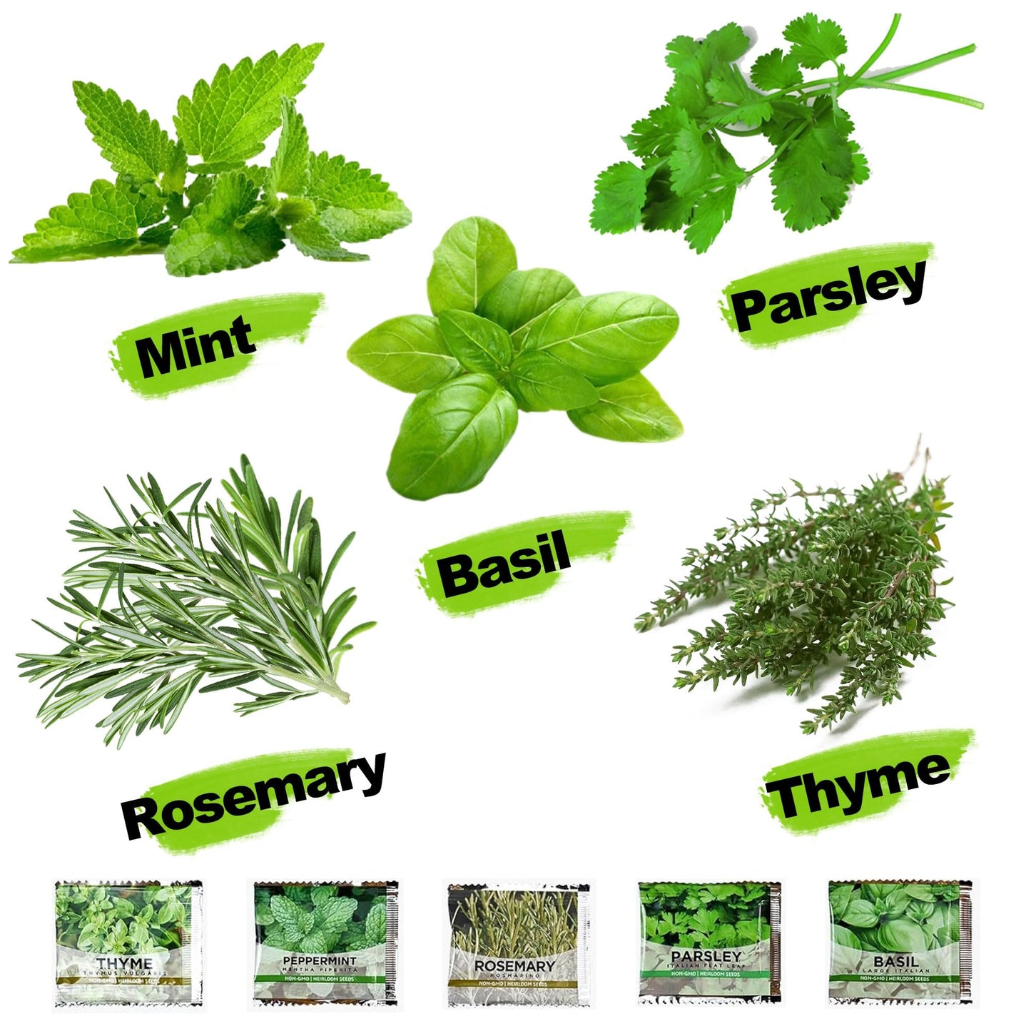 Meekear 5 Herb Indoor Starter Kit, Complete Planting Set for Kitchen Herb Garden DIY & Gift