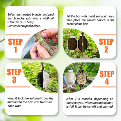 PAMAZY [Upgraded] 9Pcs Tree Root Growing Box with Drain Holes, Half Transparent Plant Rooting Propagation Ball & Metal Core Twist Ties, for Fast Propagation Plants (Size M)