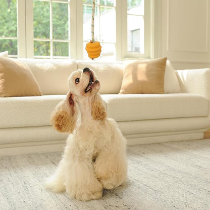 Green Sheep Tug & Enrichment Dog Toy, Interactive Rope Ball Toy with Removable Cotton Rope, Treat Dispensing Natural Rubber Dental Chew Toy for Medium and Large Dogs, Yellow