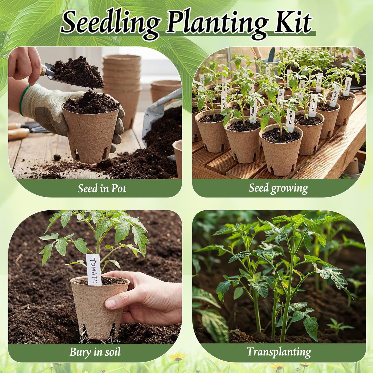 Ferrochef 240 Pcs 3.15 Inches Plant Seedling Starters Kit Peat Pots Round Plant Starter Pots with Drainage Holes Garden Germination Nursery Transplant Pot with 240 Labels and 2 Transplant Tool