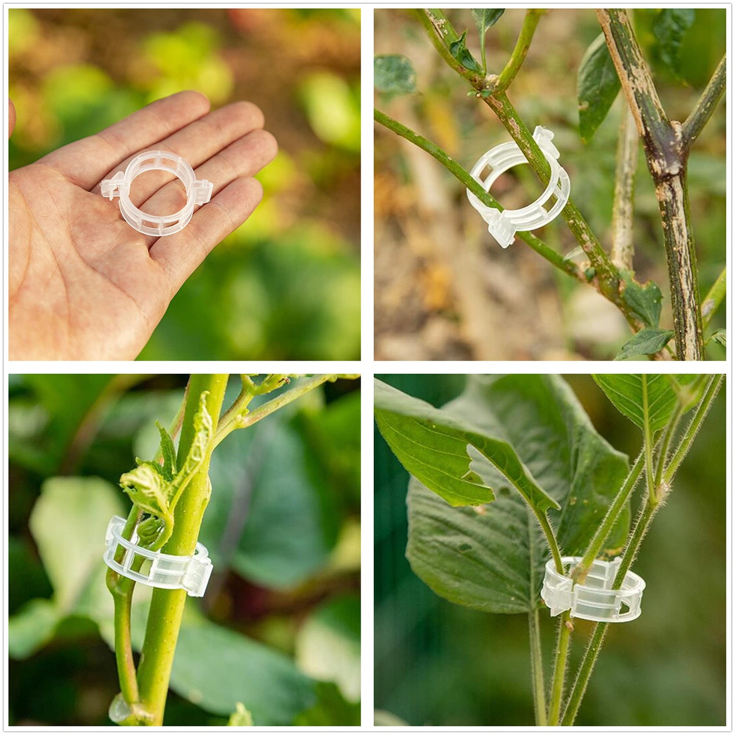 60pcs Tomato Hooks with String, Tomatoes Holder Hooks with 32.8ft Twine & Plant Support Clips, Vegetable Support J-Hook Clips Climbing Vine Crop Trellis Hooks for Vegetable Plant Fruit Flower (White)
