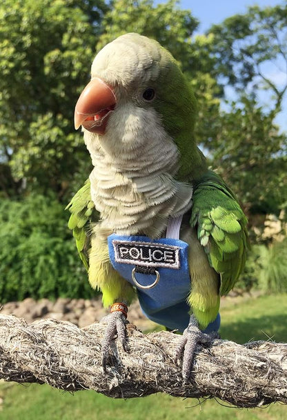 Bird Clothes Parrot Diapers Flight Suits, Reusable Waterproof Diapers for Pet Birds (2XL)
