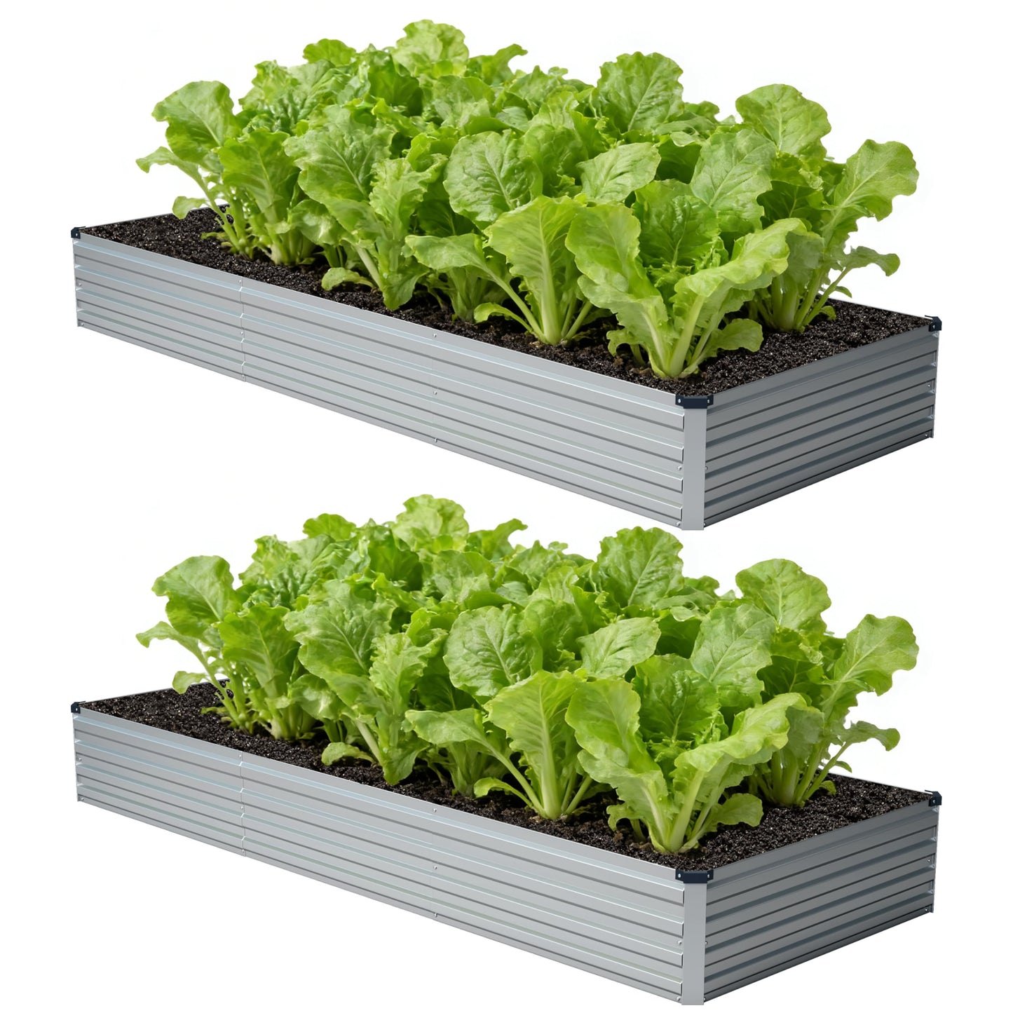 zunatu 12x4x1 ft(2 Pack) Galvanized Raised Garden Bed,Outdoor Planter Box Metal Patio Kit Planting Bed for Vegetables Flowers and Succulents,Silver