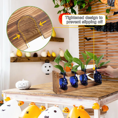CYZglass Plant Propagation Stations Halloween Skull Plant Terrarium Kit Glass Vases Gift for Father Air Planter Home Office Decor