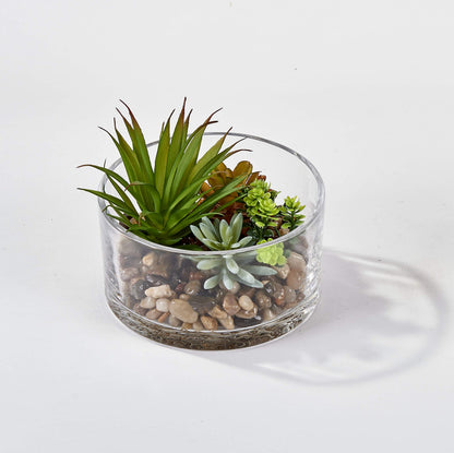WORTH IMPORTS Artificial Succulents Dish Garden in 5.5" Round Glass Container with Pebbles