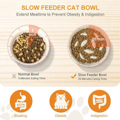 Non-Slip Rubberwood Elevated Cat Feeder Stand - 6.1"x3.5" Detachable Bowl Holder, Ergonomic Anti-Vomiting Raised Pet Dish Stand (Green(Ceramic)-Bamboo Stand)