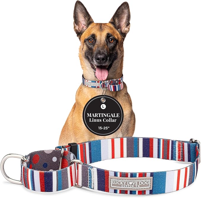 Lucky Love Dog Martingale Dog Collar - Adjustable, No-Slip, Durable, & Soft Webbing Collar for Male and Female Dogs Ideal for Training & Walking - Linus, Large