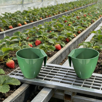 Strawberry Propagation Station | Breathable Portable Cups with Forks for Fast Transplanting, Bare Root Strawberry Cultivation Tool for Windowsill, Courtyard, Garden, Yard, Farm, Balcony