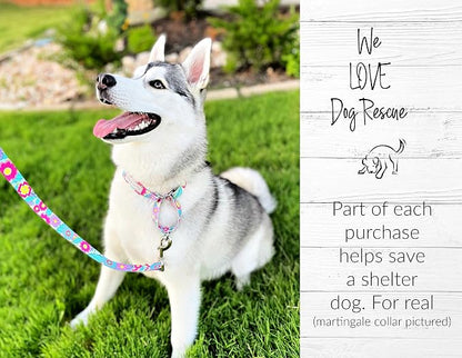 Lucky Love Dog Martingale Dog Collar - Adjustable, No-Slip, Durable, & Soft Webbing Collar for Male and Female Dogs Ideal for Training & Walking - Caroline, Small