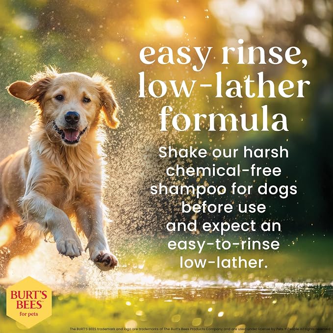 Burt's Bees for Pets Oatmeal Dog Shampoo with Honey, Soothing Formula for Itchy and Sensitive Dog Skin, Colloidal Oat Flour and Honey, pH Balanced, Sulfate-Free, 16 Fl Oz - 2 Pack