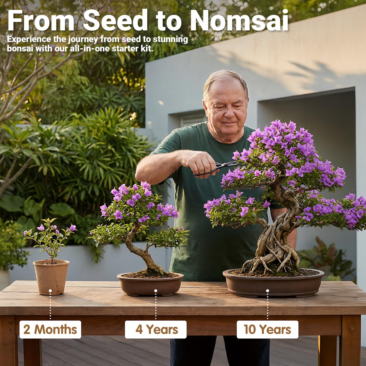 JELHFIP Bonsai Tree Starter Kit for Beginners 5 Unique Indoor Bonsai Trees with Gardening Tools DIY Bonsai Growing Kit Perfect Gifts for Women Men Plant Lovers for Birthday Father’s Day Housewarming