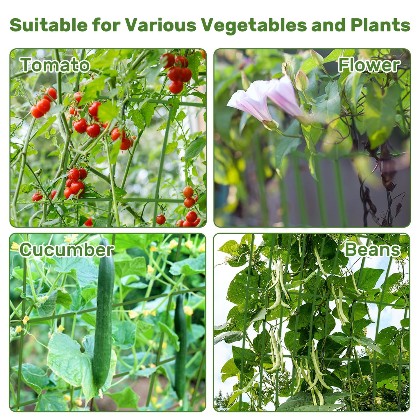 DOEWORKS Cucumber Trellis, 39" High Foldable A Frame Garden Trellis, 2 Pack, Plant Support for Climbing Cucumber, Beans, Tomatoes, Flowers, Green