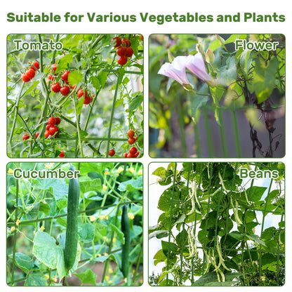 DOEWORKS Cucumber Trellis, 39" High Foldable A Frame Garden Trellis, 2 Pack, Plant Support for Climbing Cucumber, Beans, Tomatoes, Flowers, Green