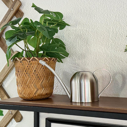 IMEEA Small Watering Can for Indoor Plants, Stainless Steel with Long Spout, 15oz/450ml – Perfect for Desk, Windowsill & Bonsai