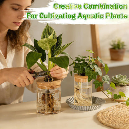Acellegic 12 Pack Plant Propagation Station with Hole Lid Plant Propagation Jars Plants Plastic Propagations Stations Planter Vase Hydroponic Vases for Home Desktop Office Decoration, 3 Sizes