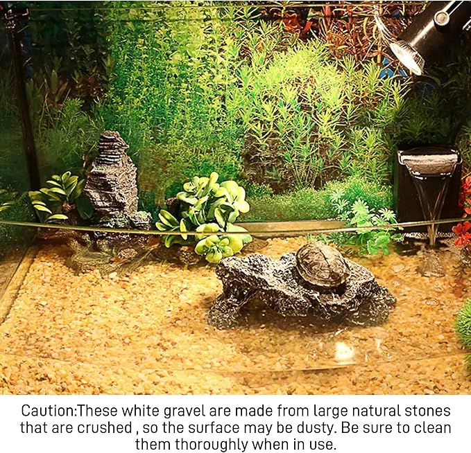 45lb Cactus Pea Gravel Rocks,1/5 Inch Pebbles for Indoor Plants, Natural Succulent Rock and River Rocks Decorative for Aquariums, Vases, Terrarium, Outdoor Gardening, Top Dressing for Potted Plants