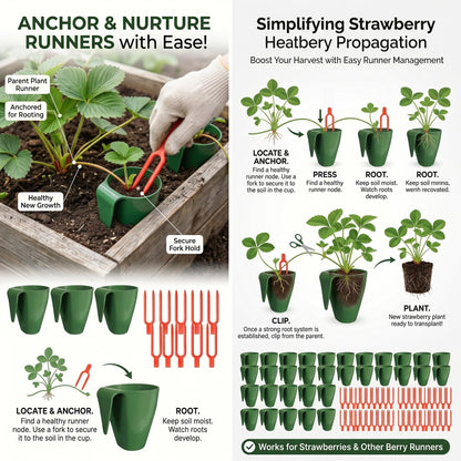 Wilafury 20Pcs Propagation Cups, Small Strawberry Propagation Cups with 50 Vine Press Forks, Plastic Planter for Rooting, Garden Greenhouse Balcony, Green
