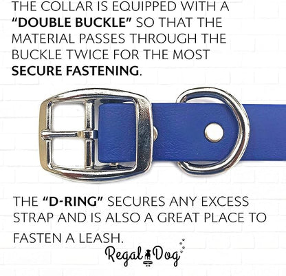 Regal Dog Products Large Blue Waterproof Dog Collar and Leash Set | Heavy Duty Double Buckle & D Ring - 5'ft Leash | Adjustable Biothane Dog Collar | Chew Resistant Waterproof Collar for Dogs