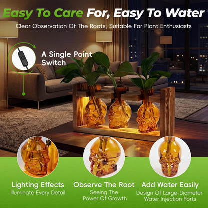 Skull Plant Propagation Station with LED Lights - Halloween Decor Skull Planter, Hydroponics Pot for Office, Unique Gifts for Women & Plant Lovers(Amber)
