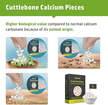Sepia King - Crushed - 100% Natural Calcium Supplement - Premium Cuttlebone Perfect for Birds, Tortoises, Snails, Reptiles - 3.5 oz