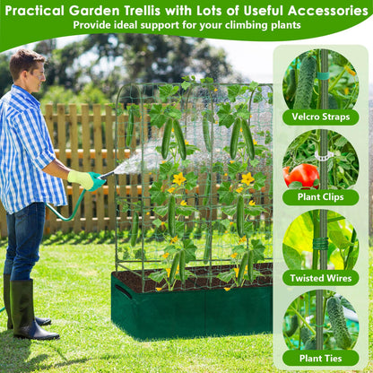 ROADPLUM Cucumber Trellis for Climbing Plants with Grow Bag, 61" Tall Metal U-Frame Garden Trellis for Raised Bed with Garden Netting and Plant Clip Plant Ties for Vegetables, Squash, Pea, Grape