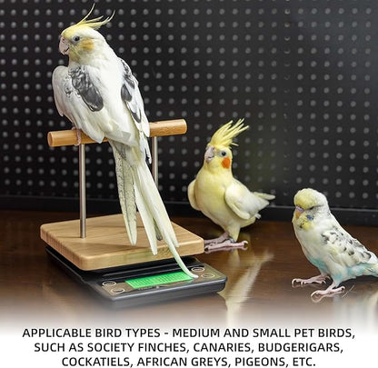 NEOUZA Perch-Mounted Pet Bird Scale, Parrot Weight Scale with Perch, Weight Change Monitoring, Suitable for Parrot, Canaries, Budgerigars, Cockatiels, Society Finches