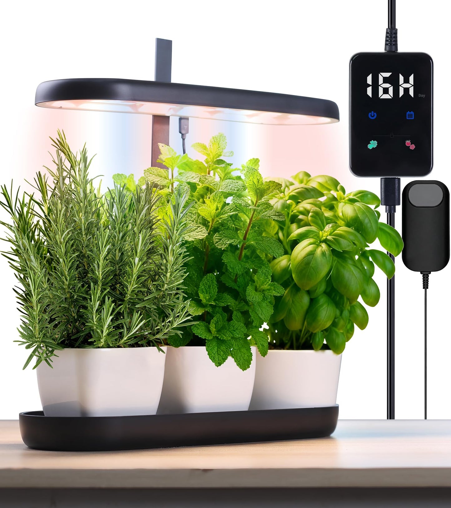 DRYADES Grow Lights for Indoor Plants, 20W Full Spectrum LED Grow Lamp for Indoor Garden with Intelligent Controller, Height Adjustable, Ideal for Home Desk Plant Lighting (Black, ABS Base)