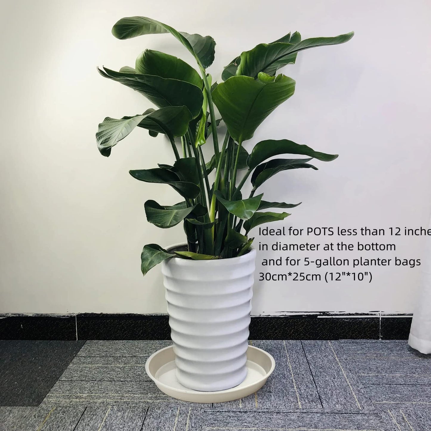 GRESPRI 14-Inch White Plant Saucers for Indoors,5 Packs Sturdy Plastic Plant Trays for Pots Up to 12" Base.14-Inch Flower Pot Saucers for Outdoors.